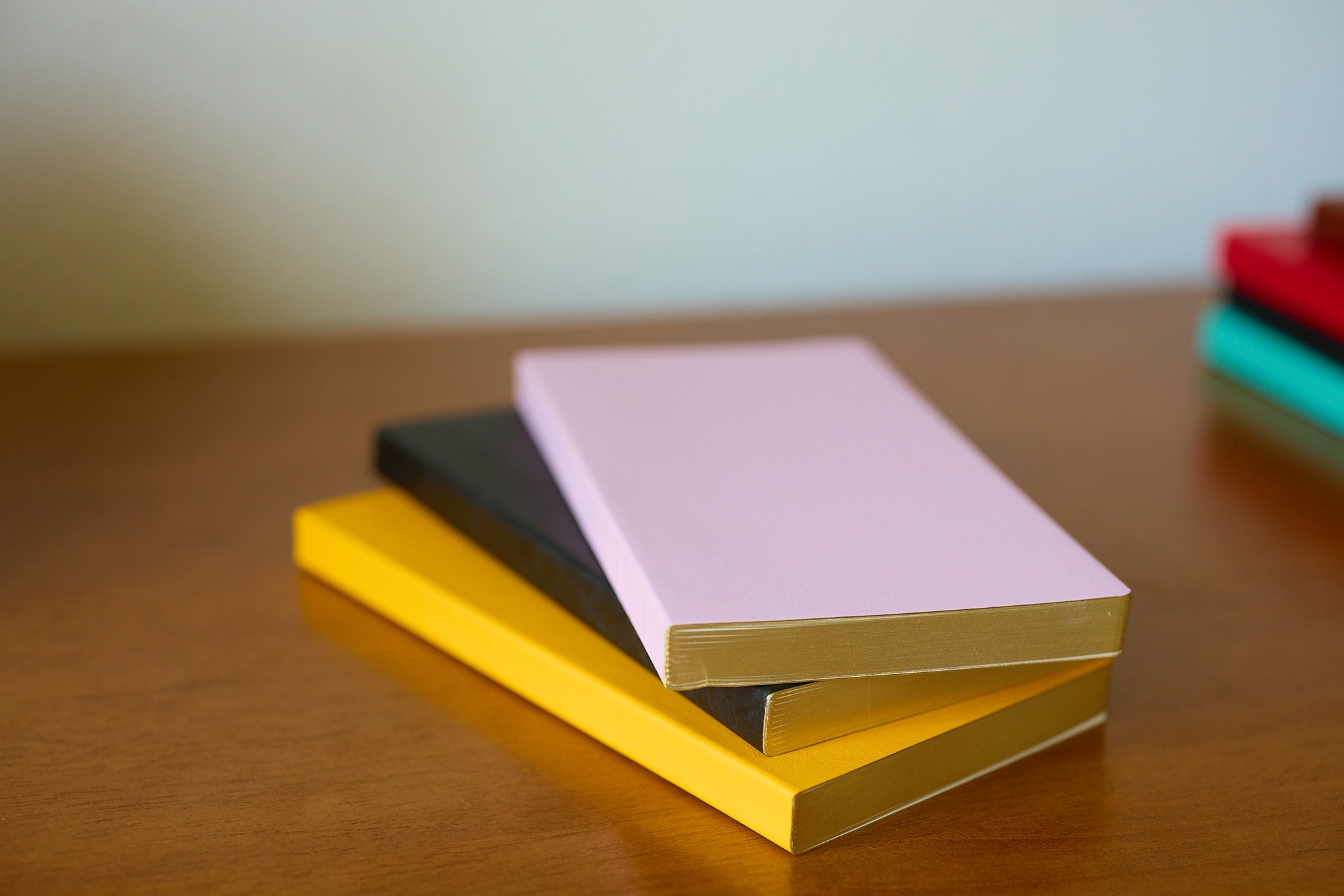 Tomoe River Notebook