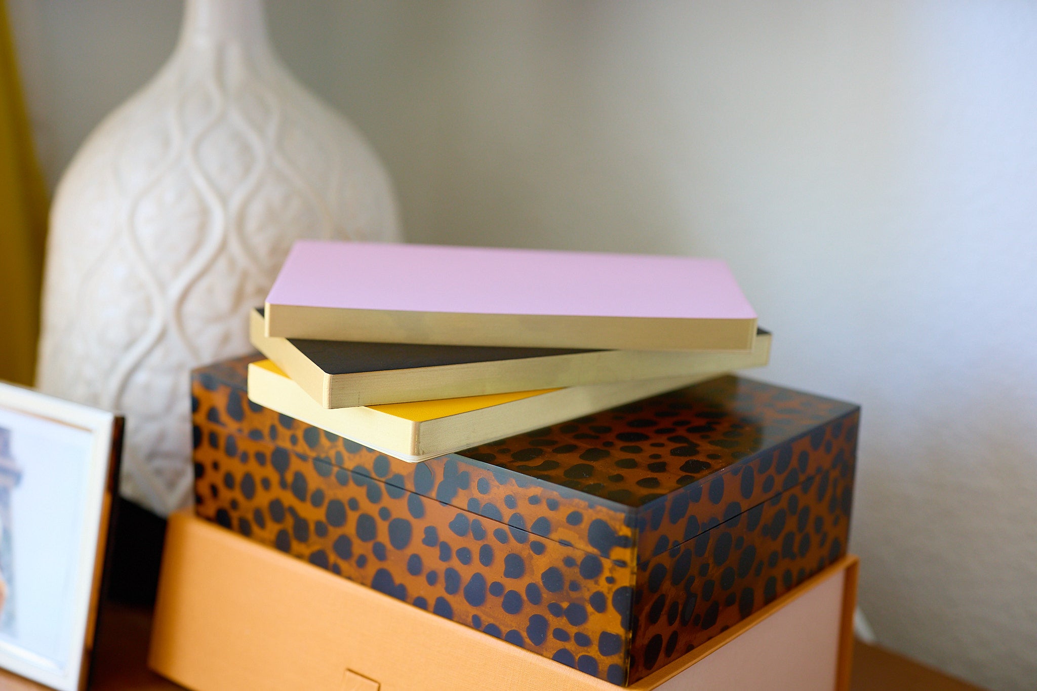 Tomoe River Notebook