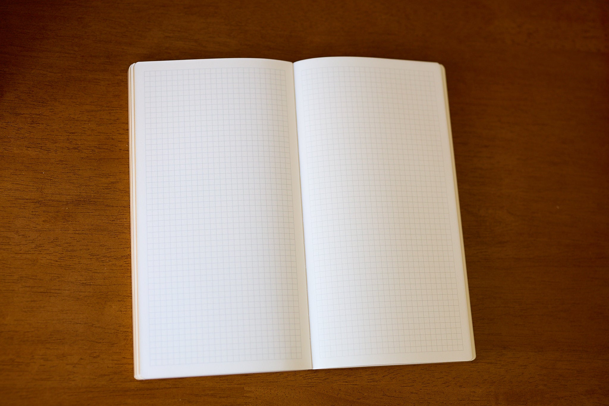 Tomoe River Notebook
