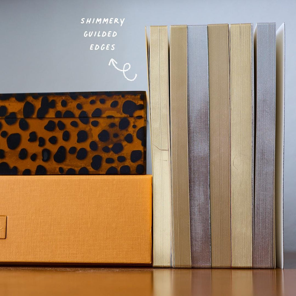 Tomoe River Notebook — Standard TN — 320 Pages