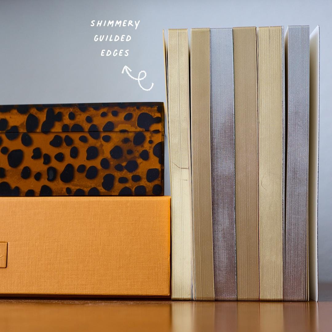 Tomoe River Notebook — Standard TN — 320 Pages