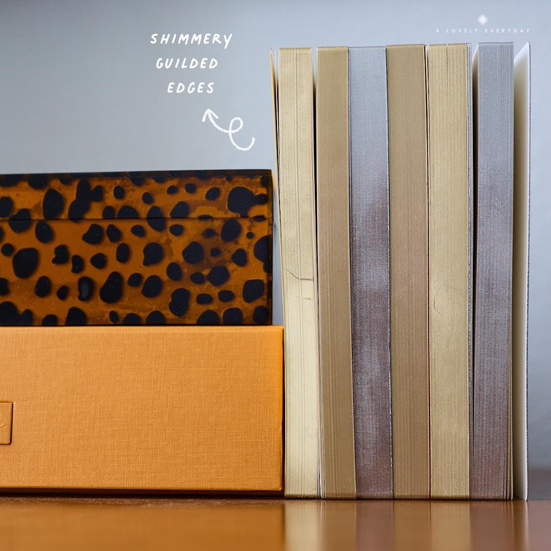 Tomoe River Notebook — Standard TN — 256 Pages