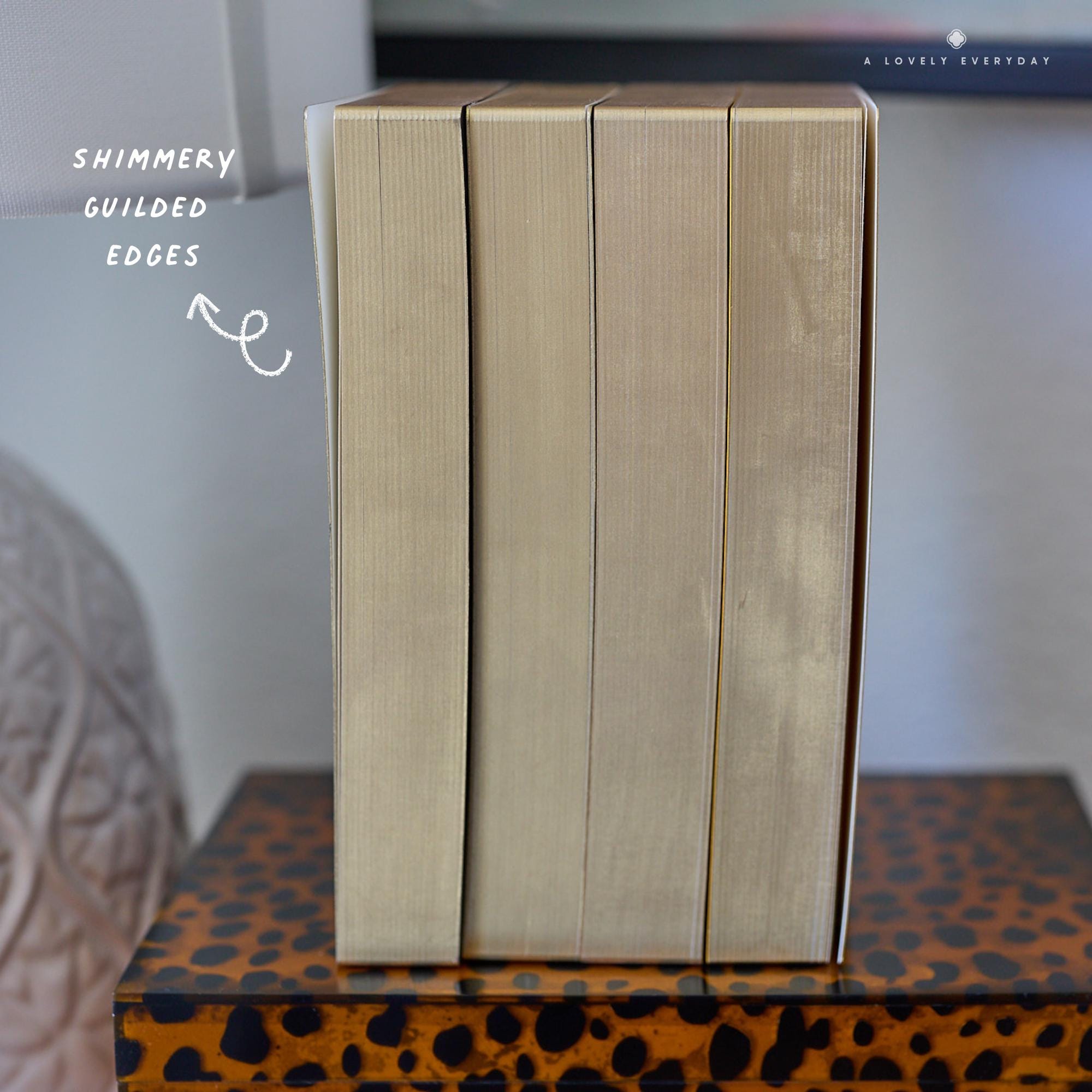 Cosmo Air Light Notebook — Standard TN — 608 Pages