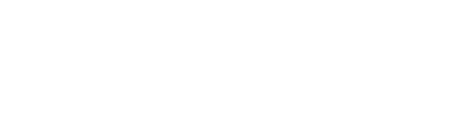 A Lovely Everyday — The Experience Studio